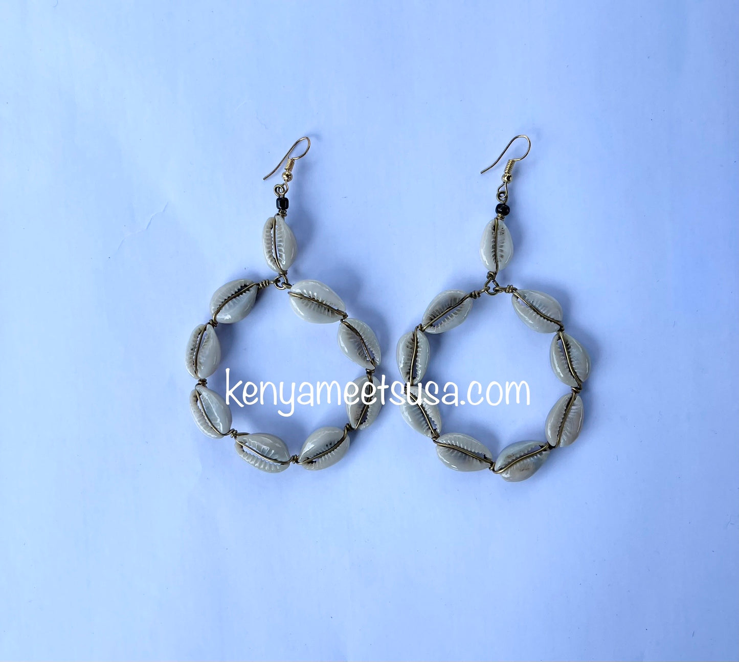 Cowrie Shell Earrings