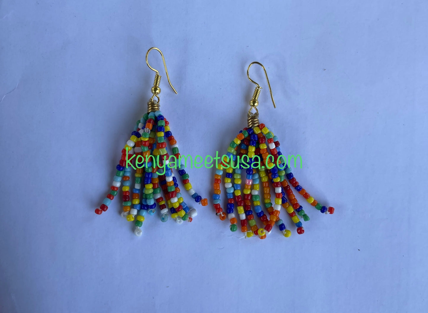Beaded Tassel Earrings