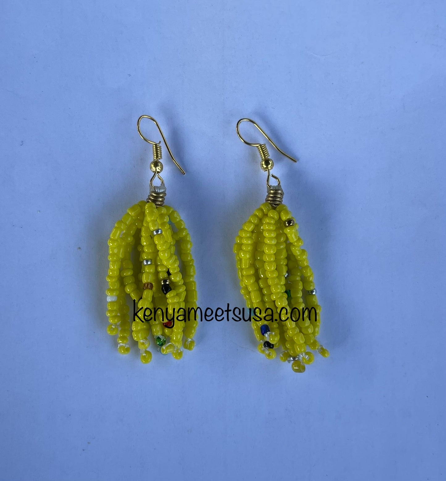 Beaded Tassel Earrings