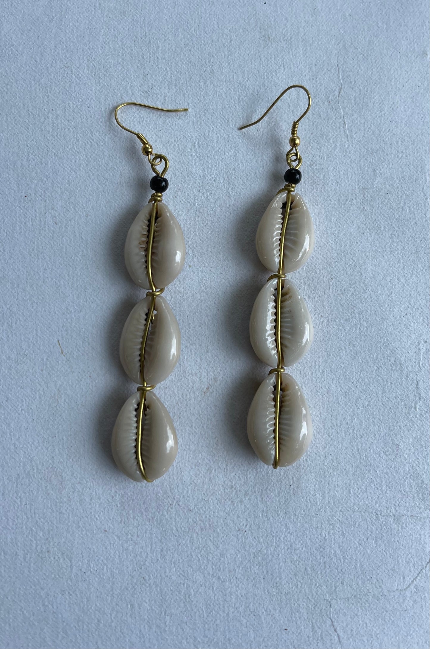 Cowrie Shell Earrings